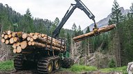 logging machine carrying logs