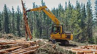 material handler carrying logs